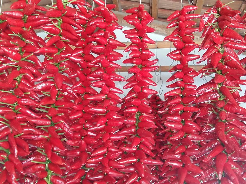 Villettemire كابو فاتيكانو المظهر الخارجي الصورة